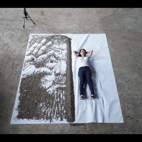 Open Your Eyes (20,000 seeds)