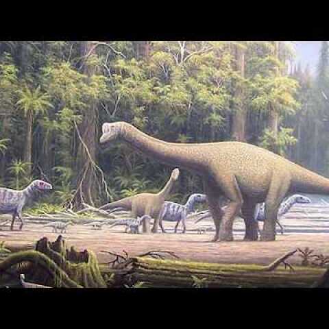 Mnyamawamtuka moyowamkia dinosaur discovery