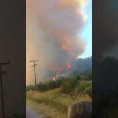 ThessNews.gr-Φωτιά στη Μόλα Καλύβα 1