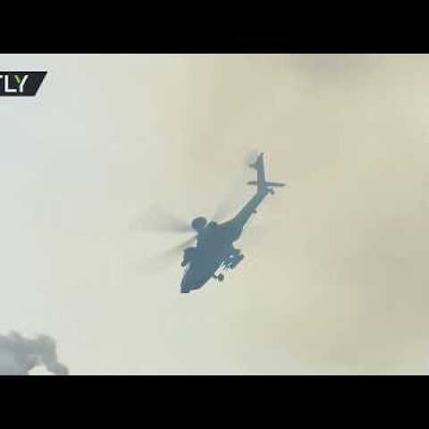 UAE armed forces showcase counter-terrorism op skills