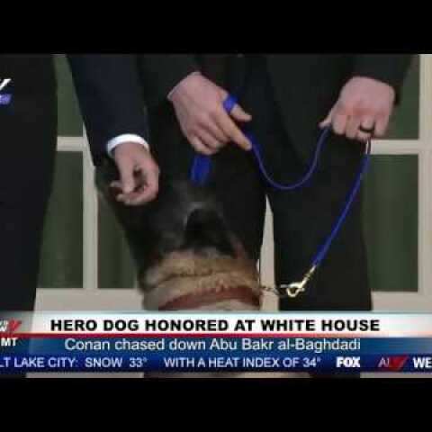 HERO DOG! President Trump Honors Conan