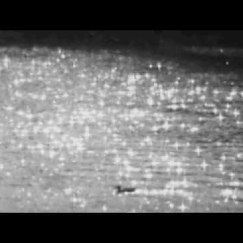 Η αρχή της ιστορίας #10