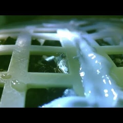 Chang’e-4 biological experiment - the first cotton sprout on the far side of the Moon