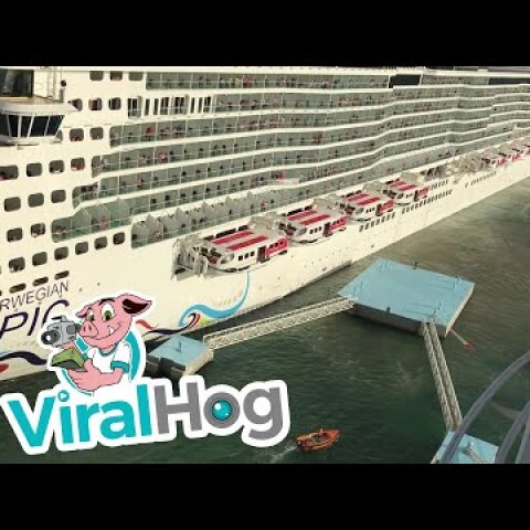Cruise Ship Crashes while Coming into Port || ViralHog