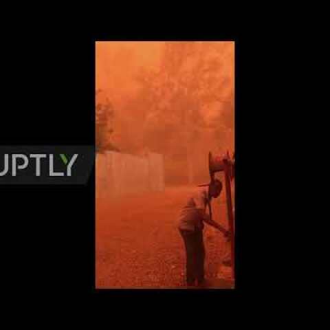 Niger: Sky turns blood red as 'calima' sandstorm descends on Niamey