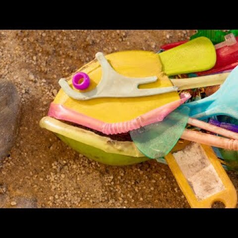 THE FISH by PES // Corona x Parley