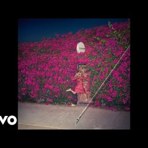 Feist - Pleasure