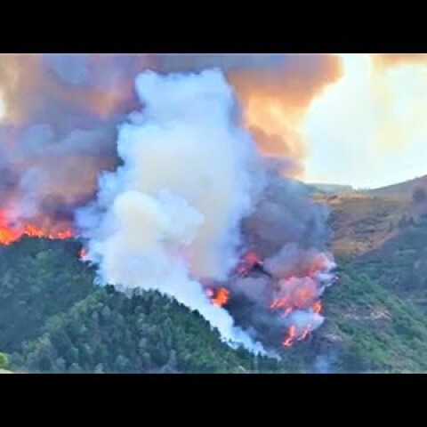 Incendio en Valleseco en dirección Cruz de Tejeda, Gran Canaria