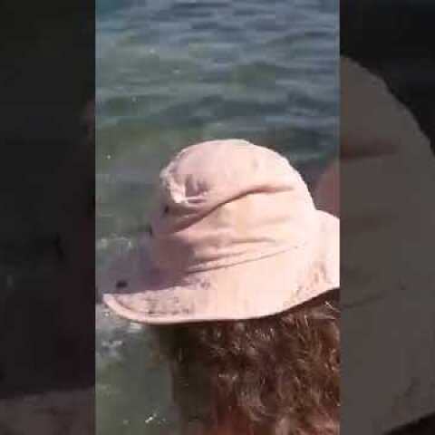 EviaZoom.gr - Χαλκίδα: Ξιφίας βγήκε στα ρηχά στη Πλαζ Αστέρια