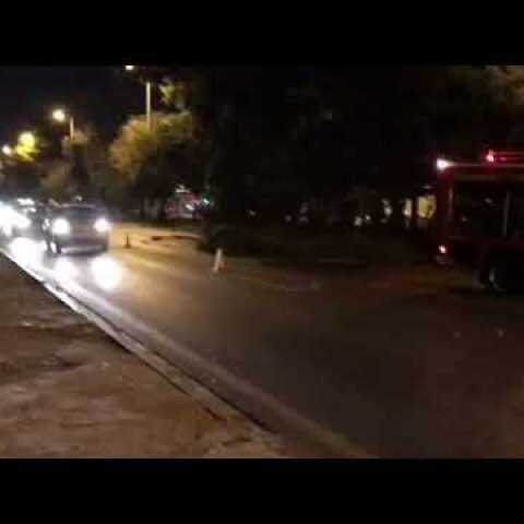 Έπεσαν πεύκο και κολώνα στην παραλιακή από τον δυνατό αέρα