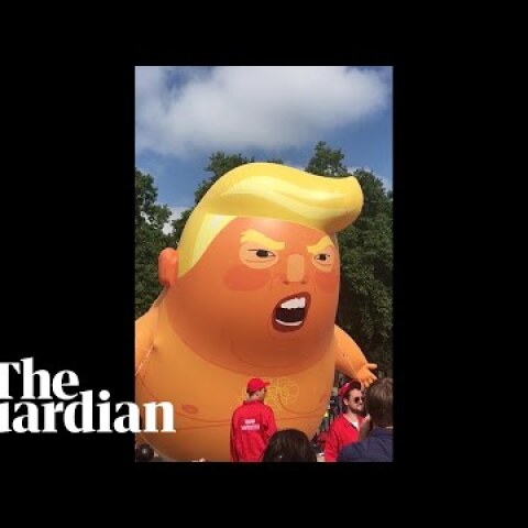 Trump baby blimp ready to take off