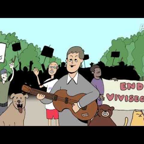 Paul McCartney - Looking for Changes