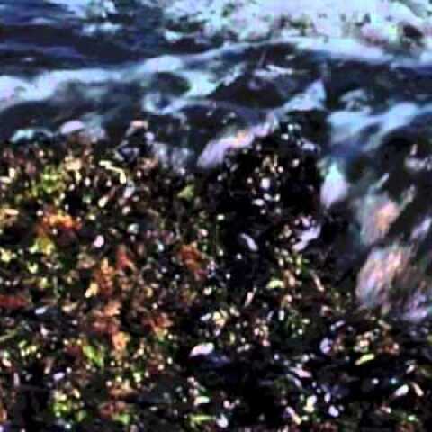 Η αρχή της ιστορίας #11