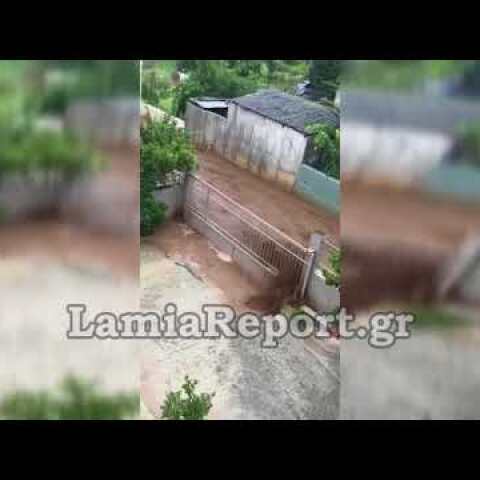LamiaReport.gr: Παρέσυρε πόρτες και δέντρα ο χείμαρρος στη Στύρφακα
