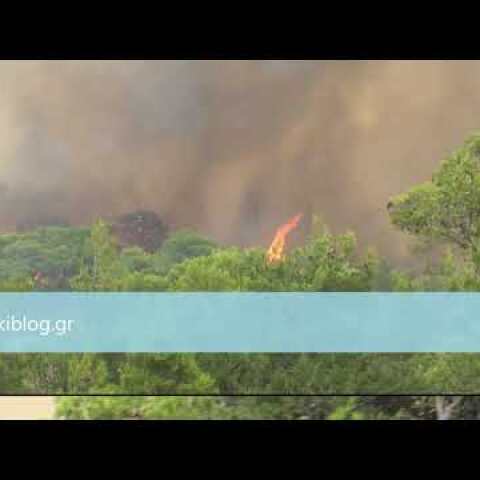 Βερόρι Αγίων Θεοδώρων-Μεγάλη Φωτιά
