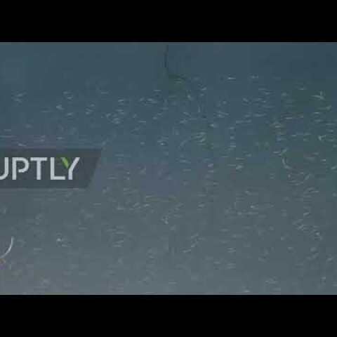 Venice canals run clear again in unexpected silver lining of coronavirus lock-down measures