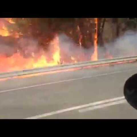 tempo24.gr - ΦΩΤΙΑ ΠΑΤΡΩΝ - ΠΥΡΓΟΥ