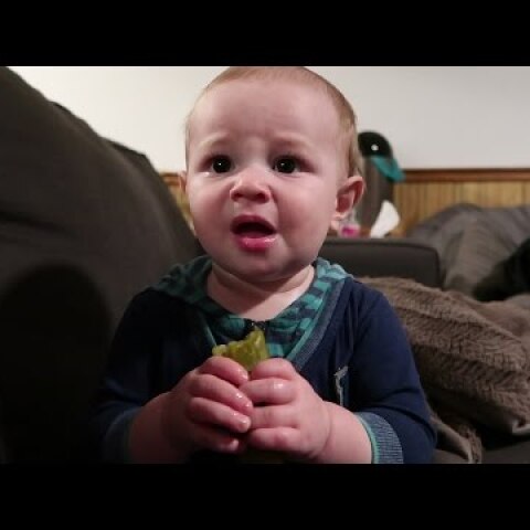 Baby tries pickle - his reaction has us in tears! - The McAllisters