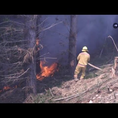 New Zealand wildfire expected to burn for weeks