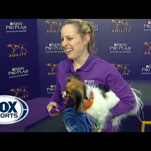 Gabby captures the 8" division title at the 2019 WKC Masters Agility | FOX SPORTS