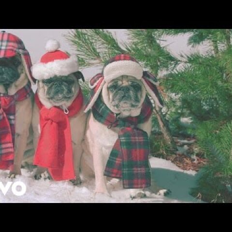 She & Him - Winter Wonderland (Video)