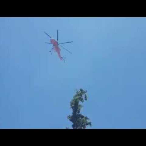 Φωτιά στην Καισαριανή