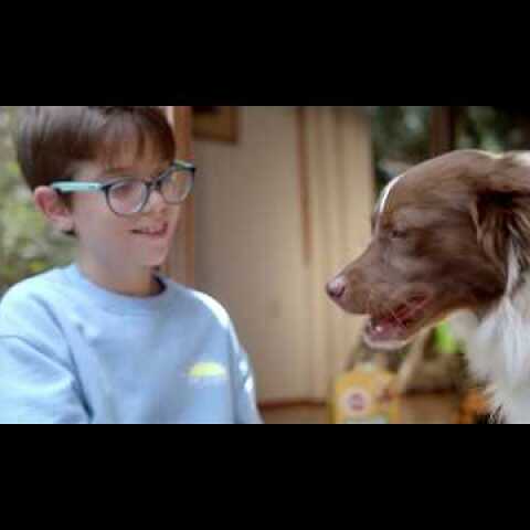 Στάσου πλάι μου!