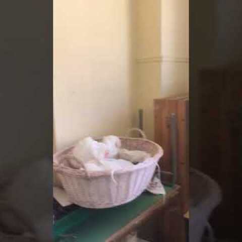 ΣΚΗΤΗ ΕΚΛΟΓΙΚΟ ΚΕΝΤΡΟ