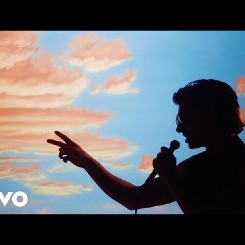 The Last Shadow Puppets - Is This What You Wanted (Official Video)