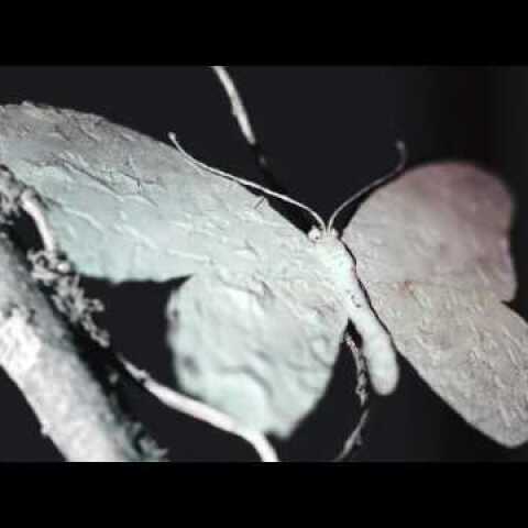 James Blake ft Bon Iver - I Need A Forest Fire (Official Video)