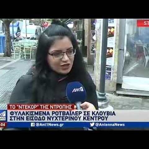 Σάλος για την “ατραξιόν” με σκυλιά σε κλουβιά στα Λαδάδικα