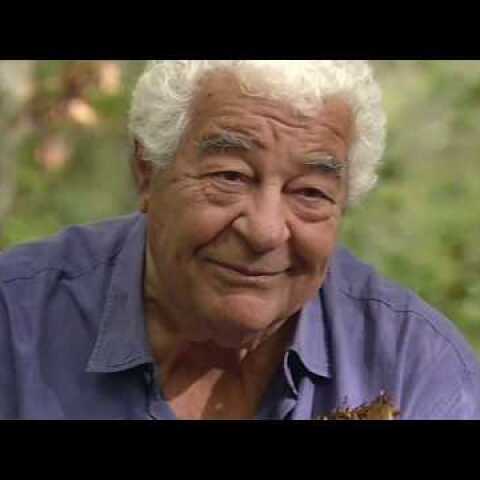 RIP Antonio Carluccio | 19th April 1937 - 8th November 2017