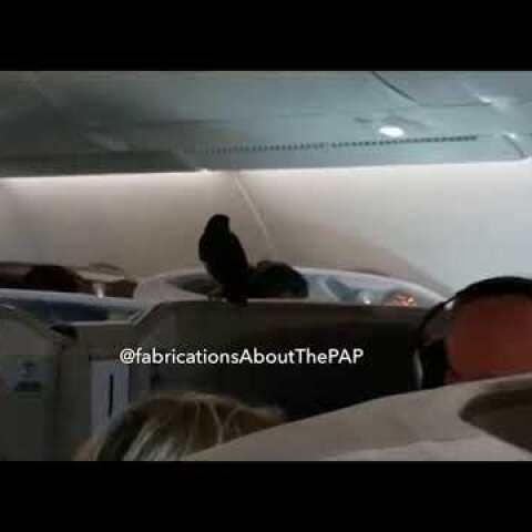 A bird flew on board business class of Singapore Airlines A380 #SQ322 to London