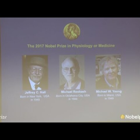 Announcement of the 2017 Nobel Prize in Physiology or Medicine