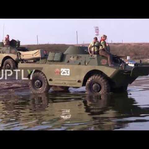 Russia: Dolphins spotted as amphibious APCs cross Kerch Strait in historic re-enactment