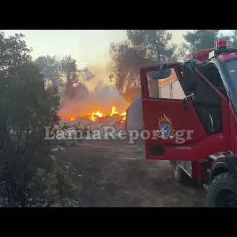 Lamiareport.gr:  Καταστροφές από την πυρκαγιά στο Μαρτίνο 2