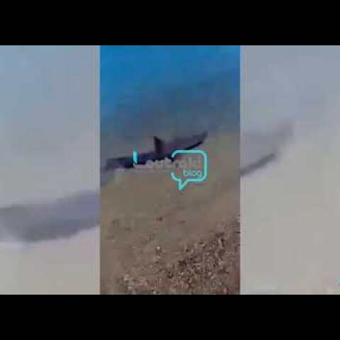 Καρχαρίας  "κόβει βόλτες" στο Καλαμάκι Κορινθίας