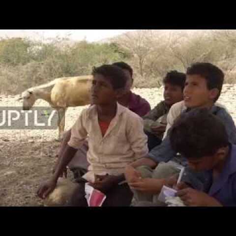 Yemen: Displaced schoolkids take classes under trees in war-torn country