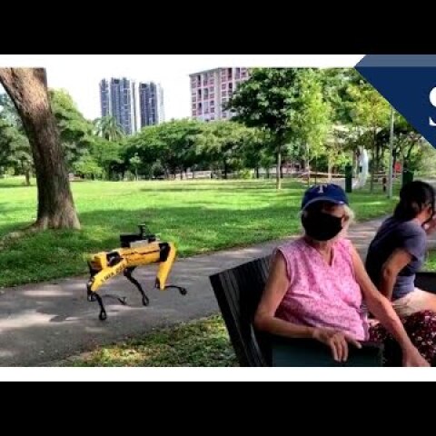 Spot robot patrolling Bishan-Ang Mo Kio Park | The Straits Times