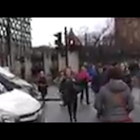 People flee parliament as gunshots ring out – video