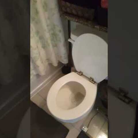 My roommates toilet is crying in the bathroom because they're out of town