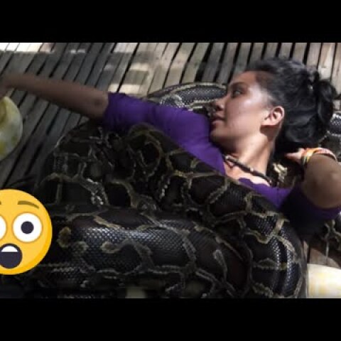 SNAKE massage aims at relaxing you, but it hardly ever will!