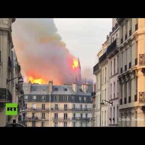 'It's falling!': Spire collapses as fire ravages Notre Dame cathedral