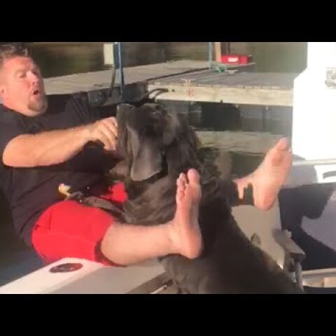 Dog Accidentally Pushes Owner off Boat