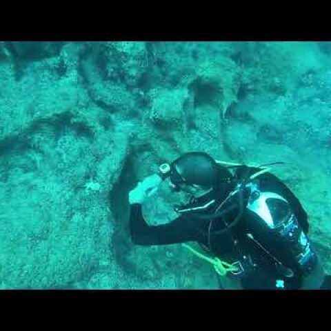 Εξουδετέρωση Νάρκης από Ομάδα της Διοίκησης Υποβρυχίων Καταστροφών