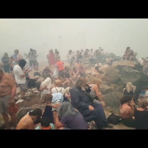 ΒΙΝΤΕΟ ΤΟΥ ΝΙΚΟΥ ΒΕΡΥΚΟΚΙΔΗ ΣΤΟ ΛΙΜΑΝΙ ΣΤΟ ΜΑΤΙ ΤΟ ΒΡΑΔΥ ΤΗΣ ΔΕΥΤΕΡΑΣ 23/7