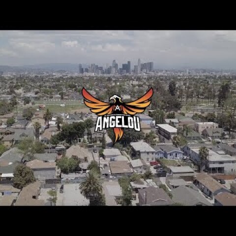 BRANDED ARTS MAYA ANGELOU MURAL FESTIVAL - Recap Video