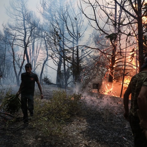 H φωτιά στον οικισμό Αδάμες 