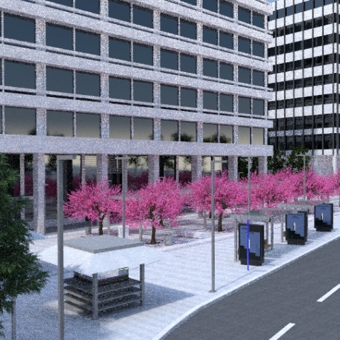 Η κάτω πλατεία Συντάγματος την Άνοιξη