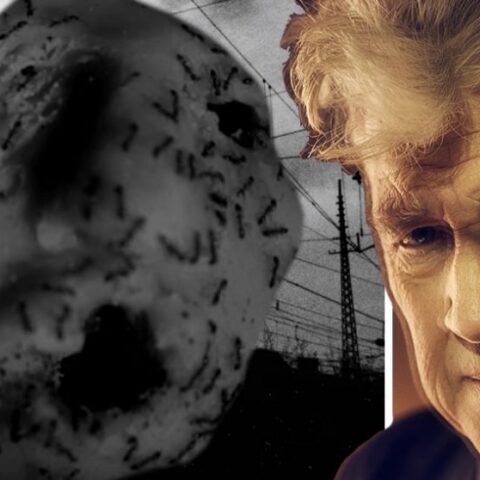 ant-head-gratis-film-david-lynch-filmz-1000x558.jpg